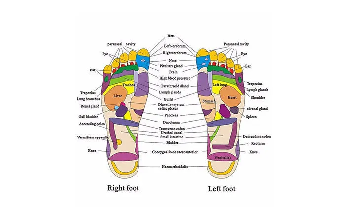 Acupressure Massage Slipper - Large