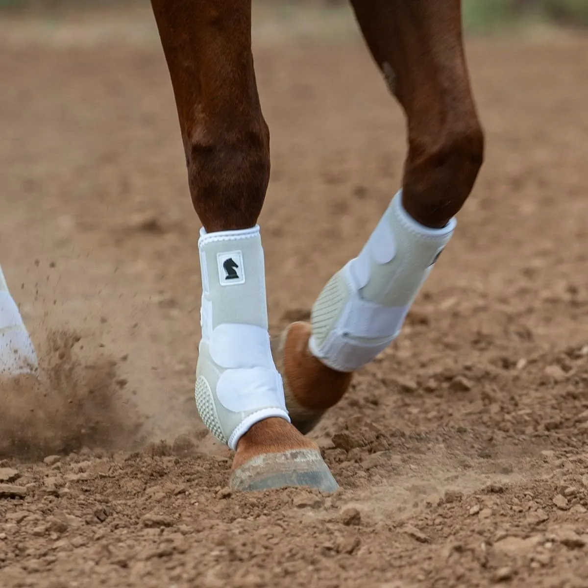 Classic Equine Flexion by Legacy2 Support Boots, Front (White, Medium)