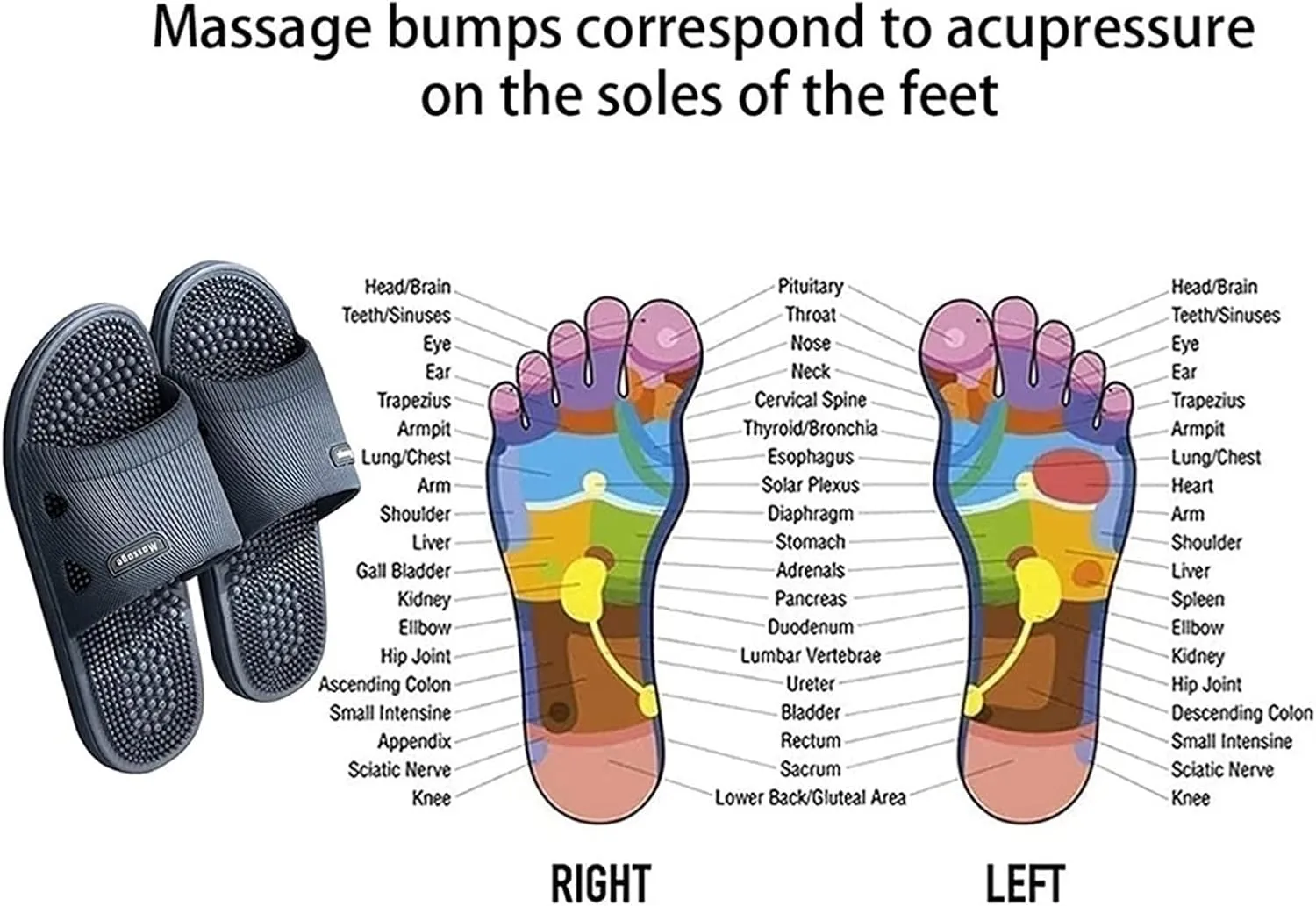Massage Slippers for Flat Feet，Acupressure Massage Sandals Shoes for Men and Women Home Shoes Shock Absorbing, Therapy Promoting Blood Circulation Non-Slip Massage Shoes for Bath Shower