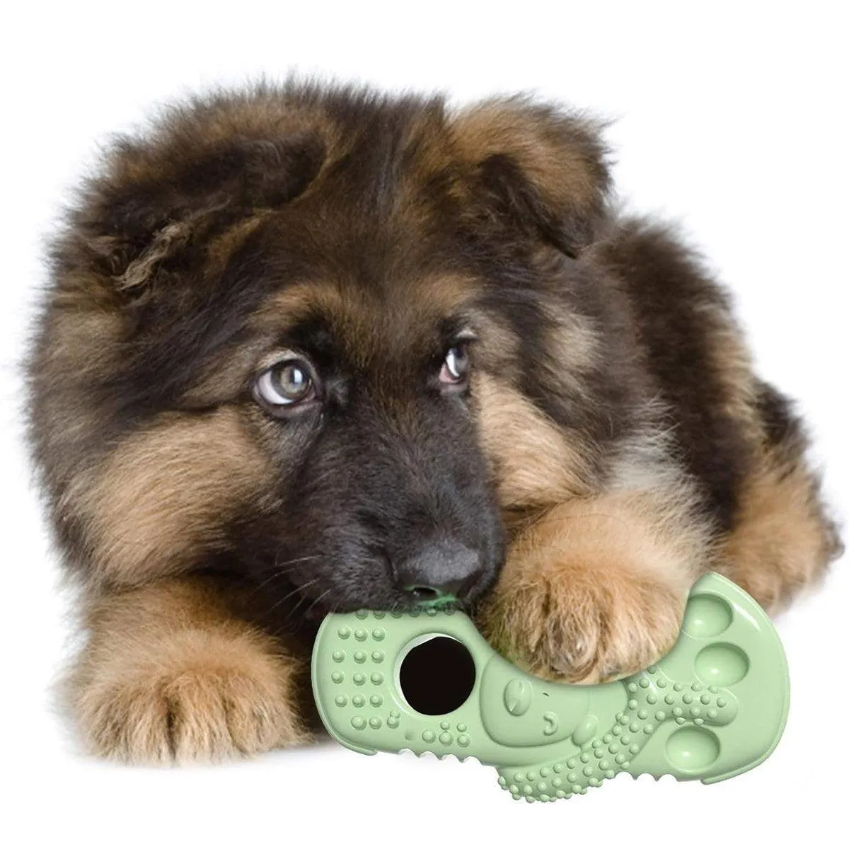 Pet Dog Chew Toy Slipper Shape Teething Durable Puppy Play Training