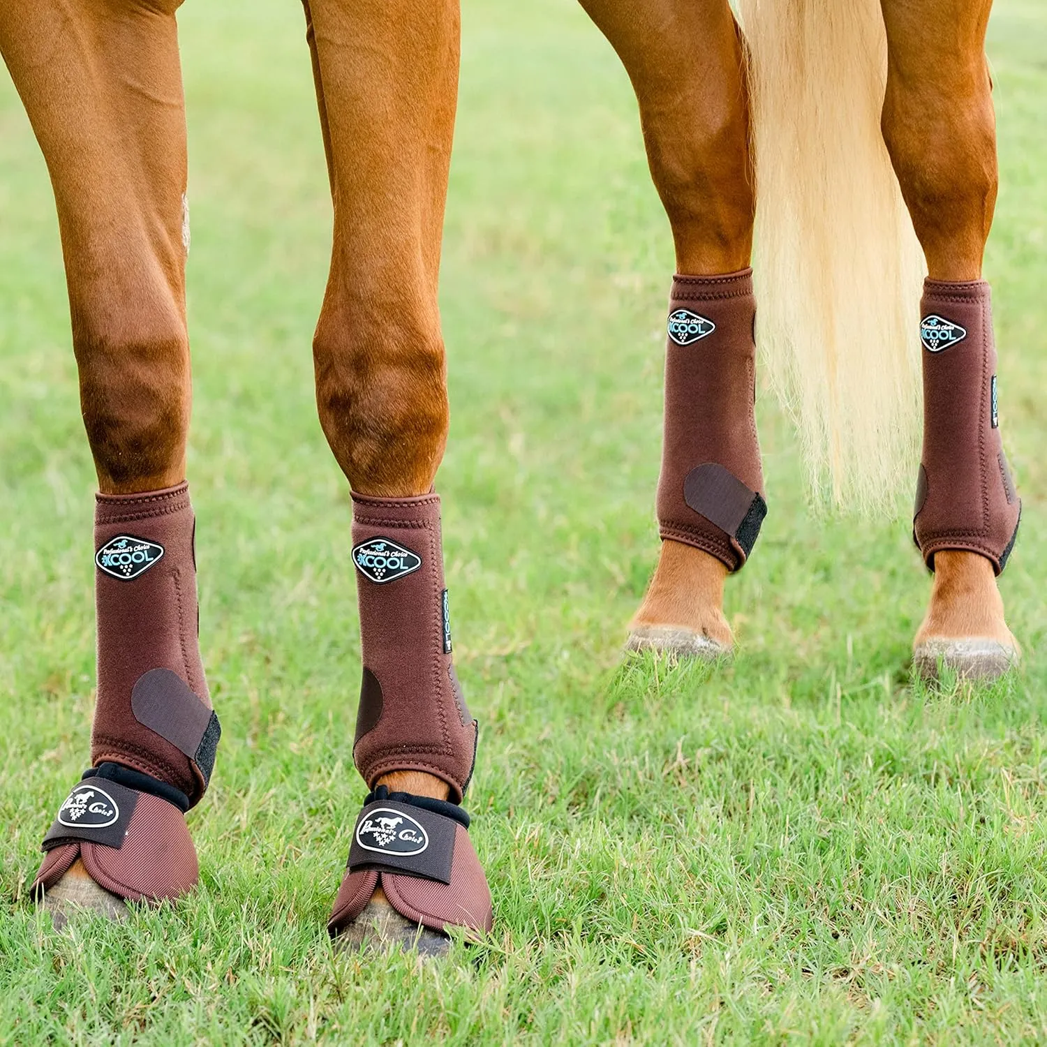 Professional's Choice 2XCOOL Sports Medicine Horse Boots | Protective & Breathable Design for Ultimate Comfort & Durability in Active Horses | Value 4 Pack | Small, Medium, Large