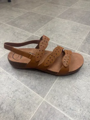 Scholl Able II