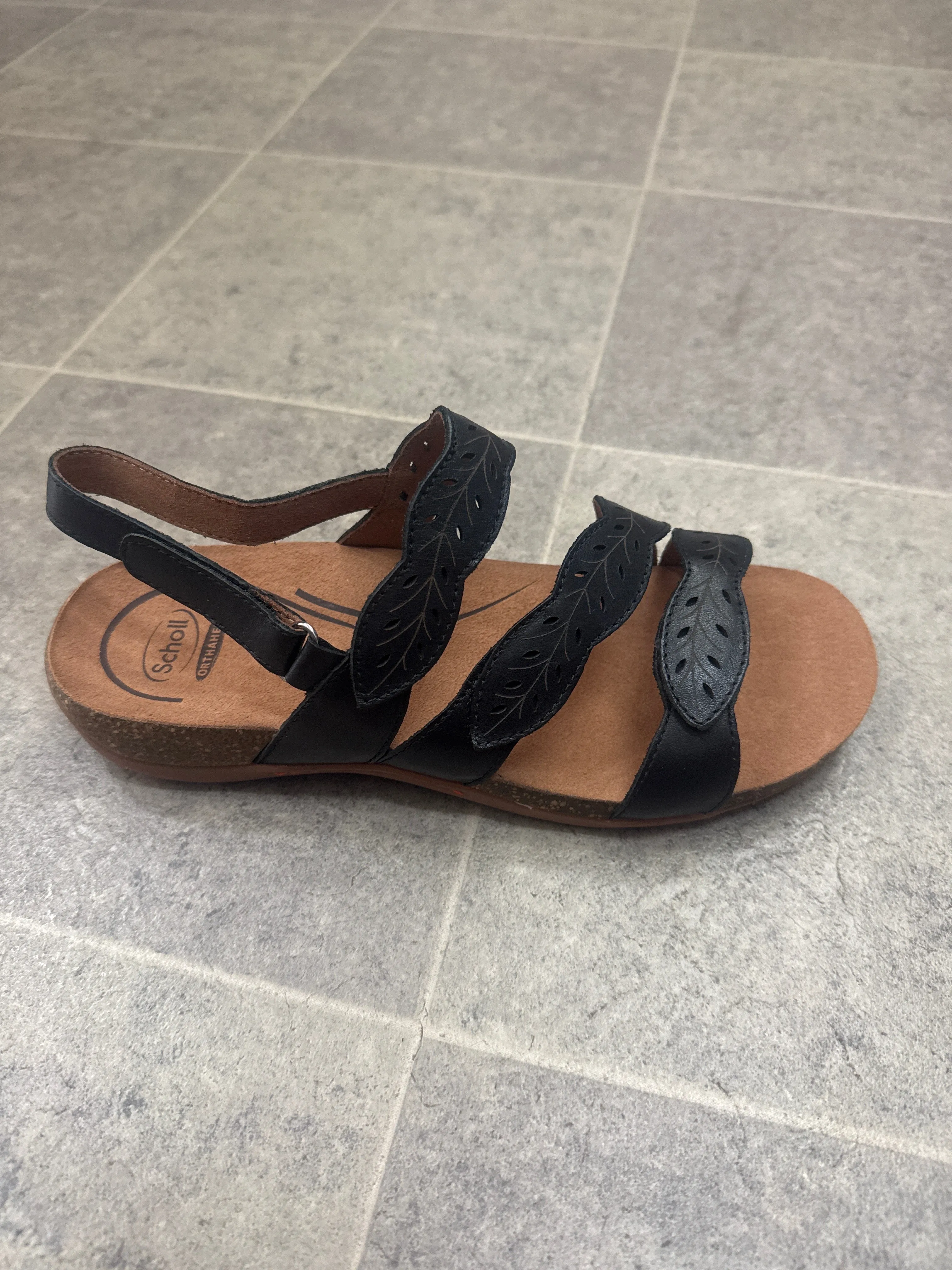 Scholl Able II