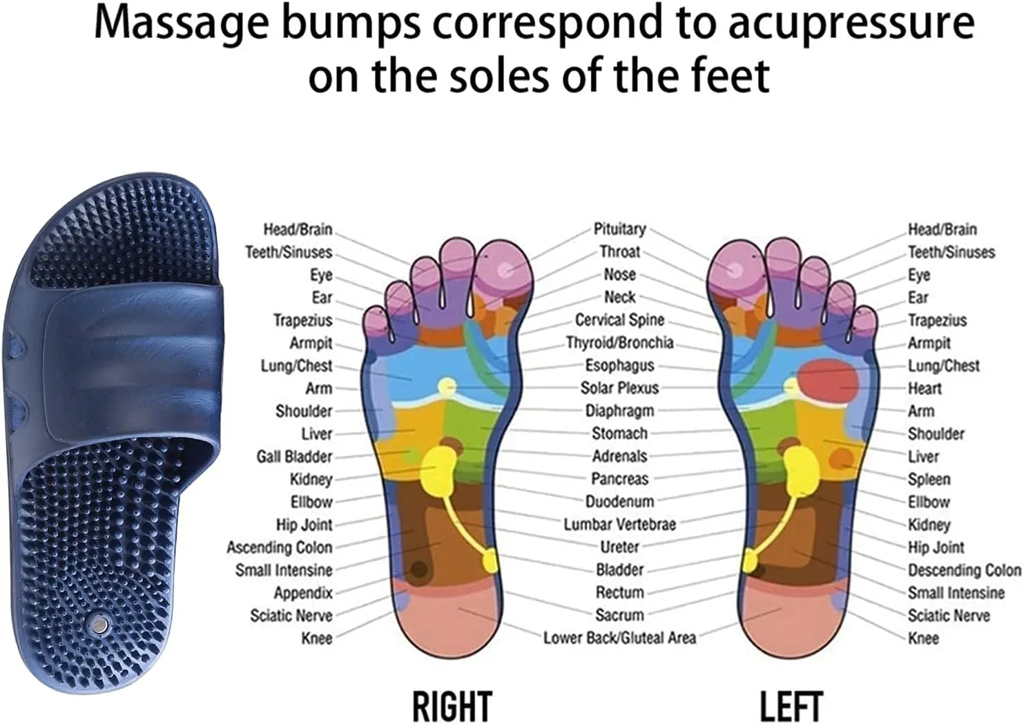 Shoes for Women Sandals Foot Massage Slippers Reflexology & Acupressure Slippers for Men Women's Open Toe Shower Bedroom House Slippers Indoor Outdoor Non-Slip Soft Bottom