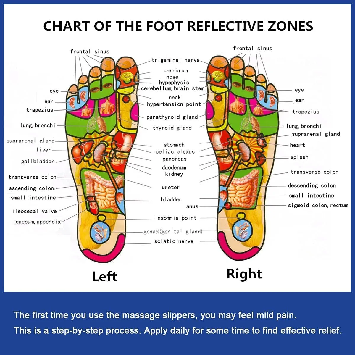 The Fitz: Take Control of Your Wellbeing Slippers, Acupuncture Reflexology Foot Massage, Arthritis Fasciitis Relief Sandals